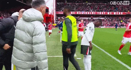 NKkZW, 可惜的, 加上古斯托 NKkZW, 可惜的, 加上古斯托