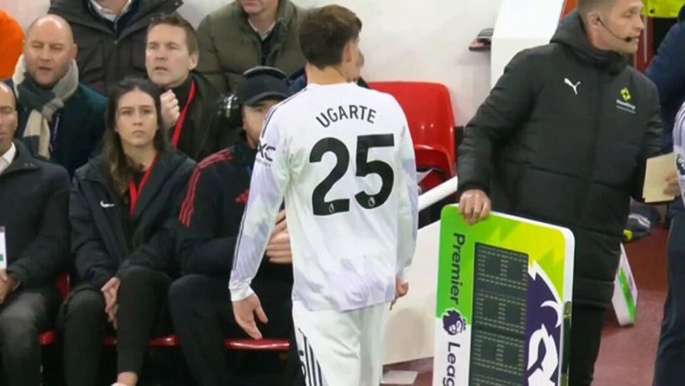 阿莫林曾在 阿莫林曾在